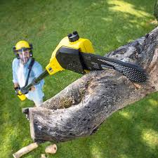 Mulching Services in Jasmine Estates, FL
